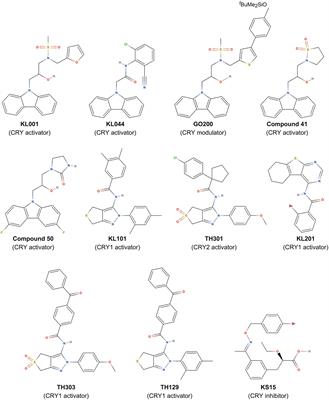 Structural and Chemical Biology Approaches Reveal Isoform-Selective Mechanisms of Ligand Interactions in Mammalian Cryptochromes